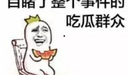 热点爆料功能 吃瓜的表情包,笑翻你的表情包盛宴