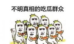每日吃瓜 朝阳吃瓜群众一枚,朝阳吃瓜群众的生活点滴
